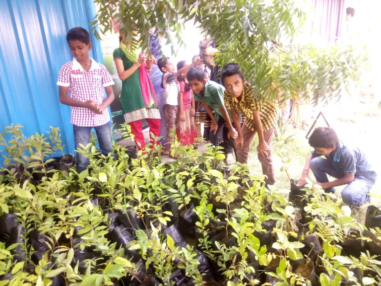 Planting Planting