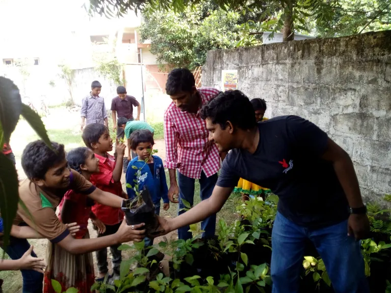 Planting Planting