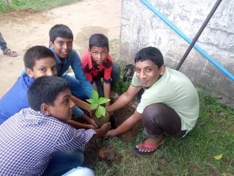 Planting Planting